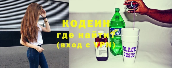 дживик Няндома