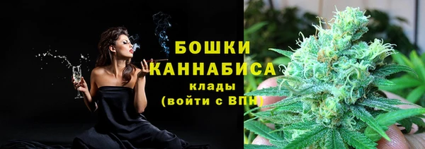 дживик Няндома