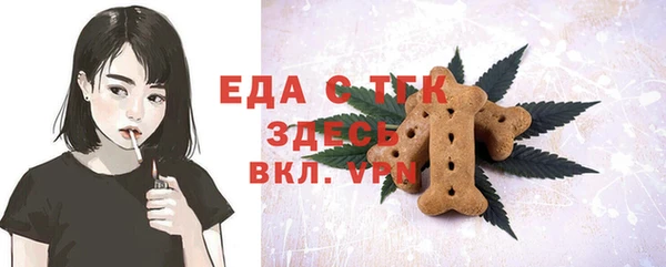дживик Няндома