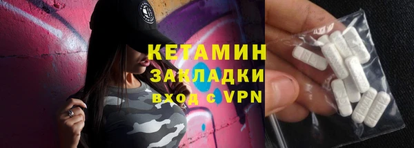 дживик Няндома