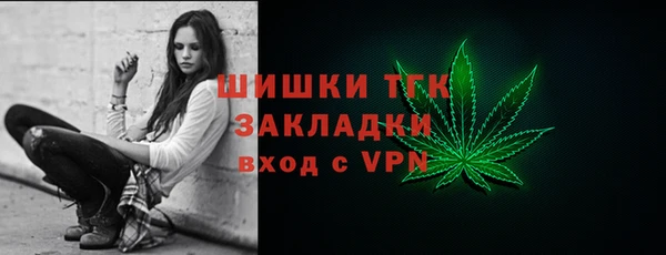 дживик Няндома