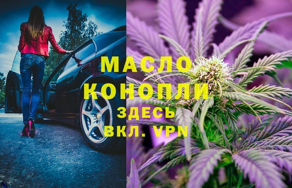 дживик Няндома