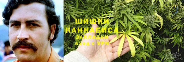 дживик Няндома