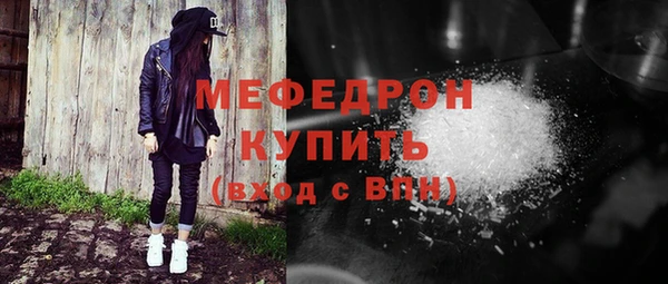 дживик Няндома