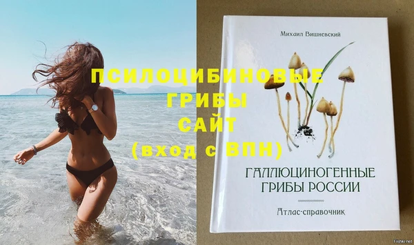 дмт Нягань