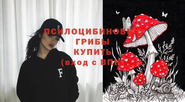 дживик Няндома