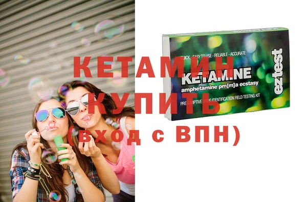 дживик Няндома
