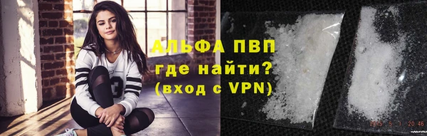 дживик Няндома
