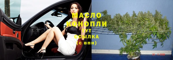 дживик Няндома