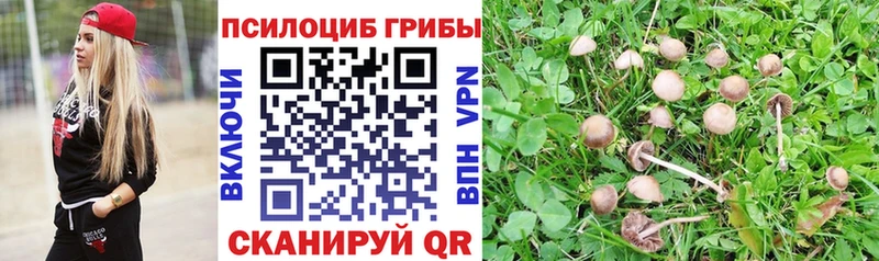Псилоцибиновые грибы Psilocybine cubensis  где найти наркотики  Туймазы 